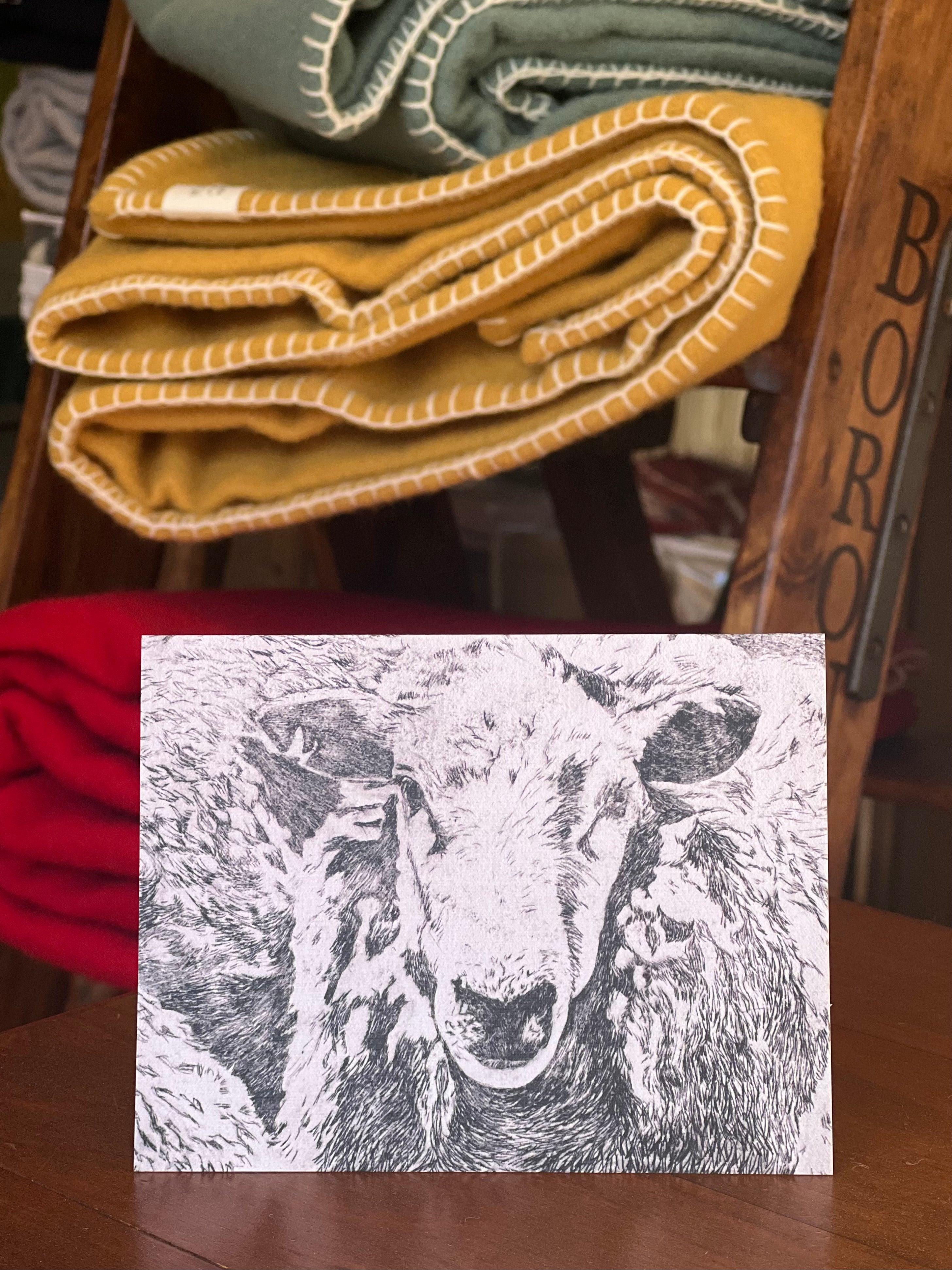 Ewe Are Being Watched - Card - Exquisite Wool Traders