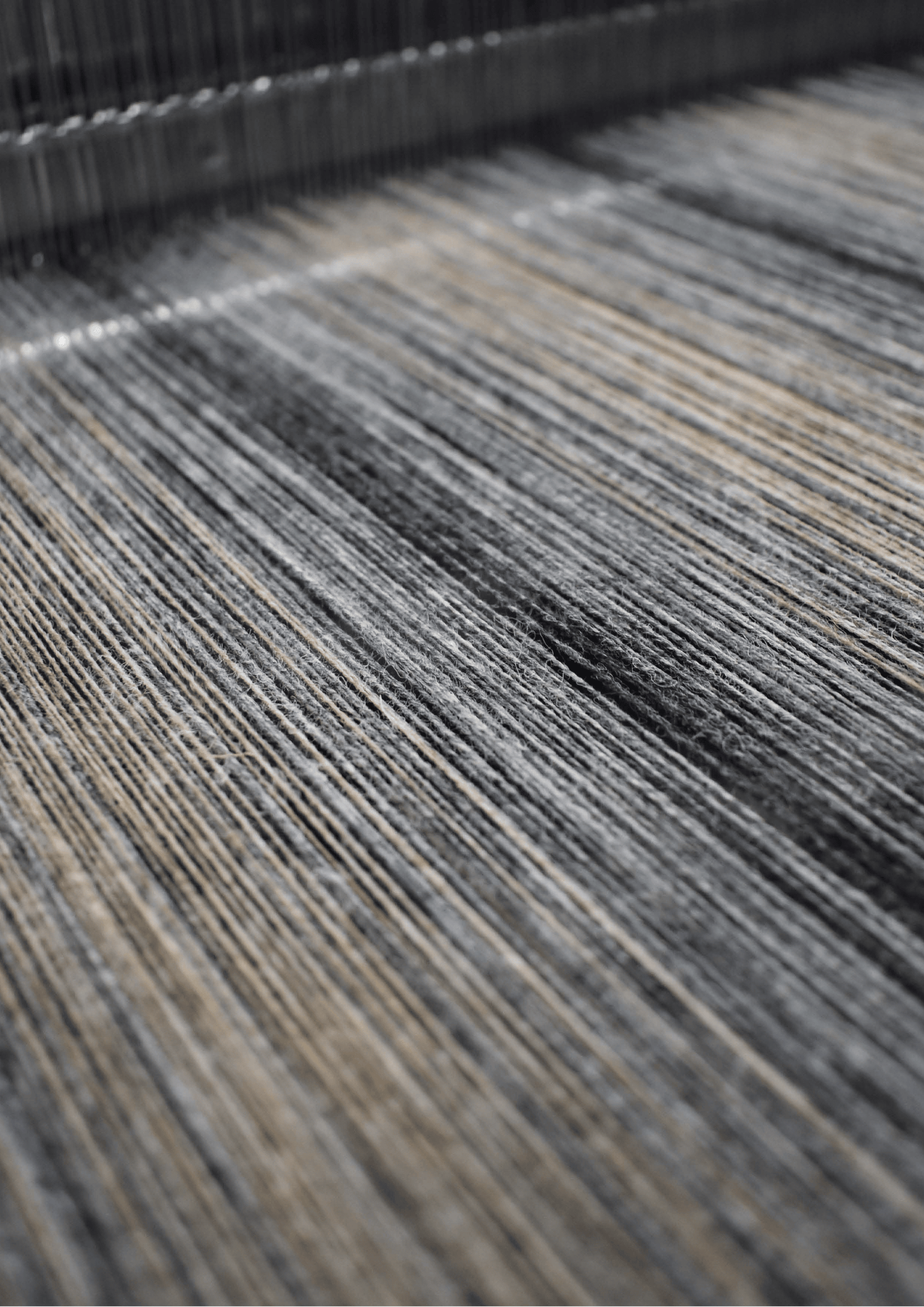 Interiors by MOON – Naturally II